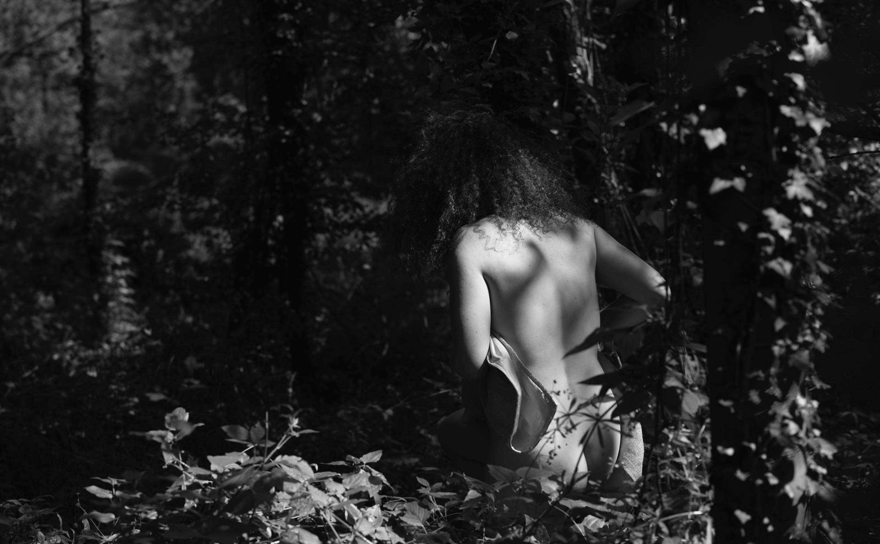 Amandine · Mouvement